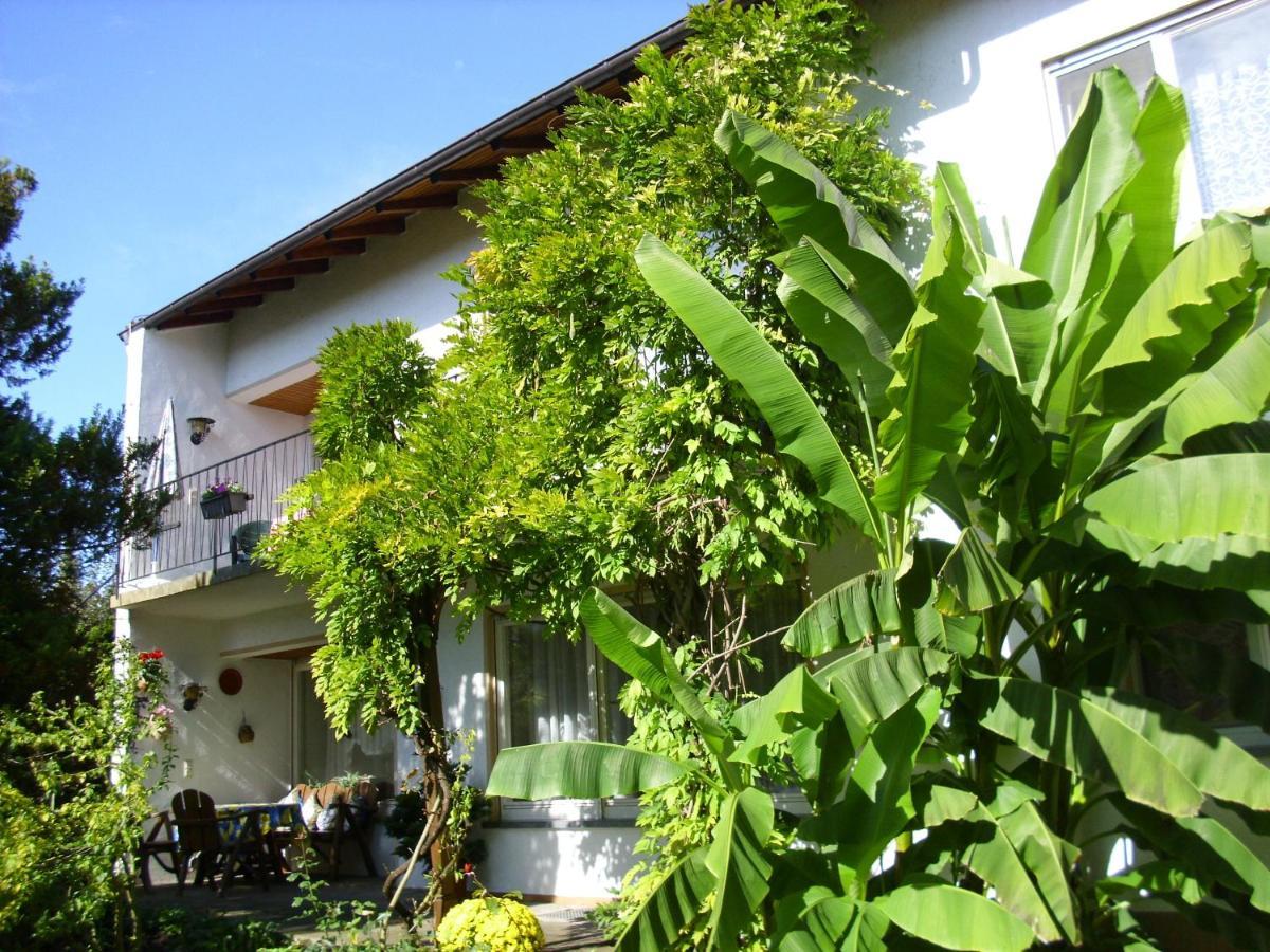 אימנשטאדט אם בודנזה Ferienzimmer Immenstaad מראה חיצוני תמונה